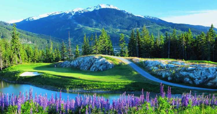 Whistler